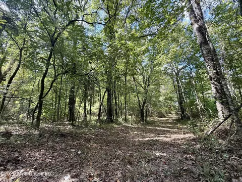Cooper Road, Camden, MS 39045 photo 6