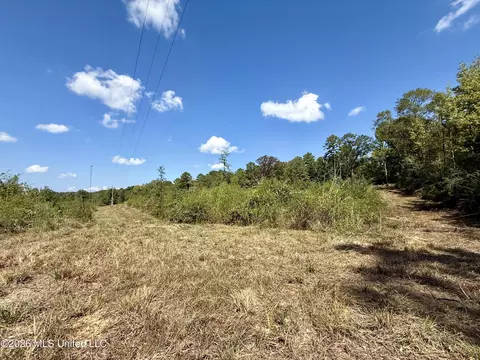 Cooper Road, Camden, MS 39045 photo 3