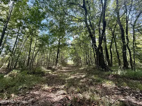 Cooper Road, Camden, MS 39045 photo 9