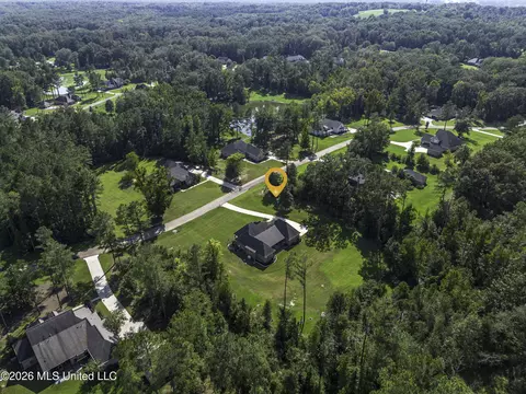 View/Area - 520 Viewpointe Way, Clinton, MS 39056 photo 15 of 18