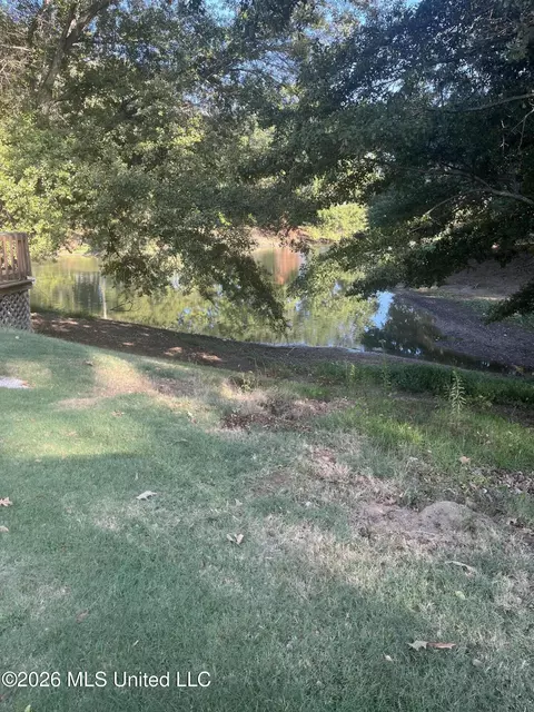 View/Area - 7562 Bear Cv, Walls, MS 38680 photo 2 of 2