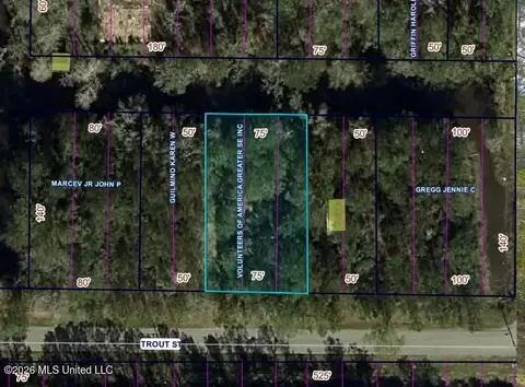 5028 Trout St, Bay Saint Louis, MS 39520