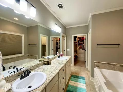 Bath - 126 Marion Dr, Clinton, MS 39056 photo 1 of 3