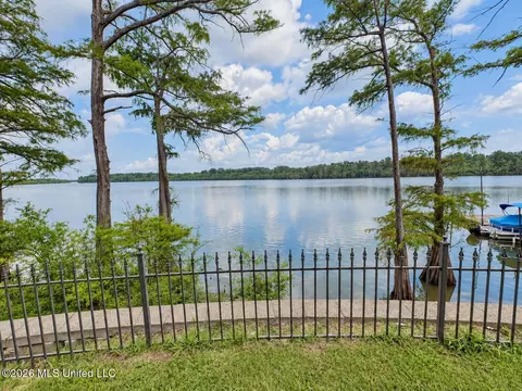 View/Area - 7 Neill Cv, Dundee, MS 38626 photo 3 of 5