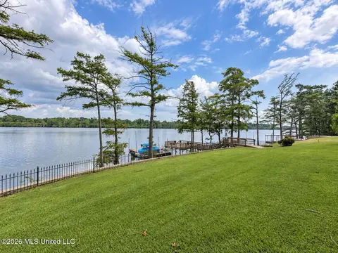 View/Area - 7 Neill Cv, Dundee, MS 38626 photo 4 of 5