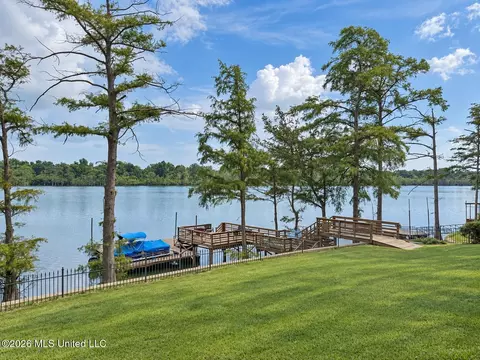 View/Area - 7 Neill Cv, Dundee, MS 38626 photo 1 of 5