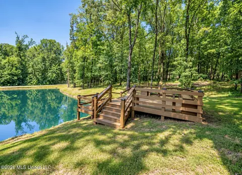 Exterior - 8502 Tulane Rd, Hernando, MS 38632 photo 5 of 13