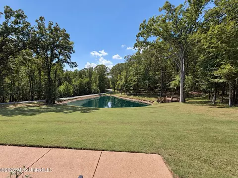 View/Area - 8502 Tulane Rd, Hernando, MS 38632 photo 1 of 1