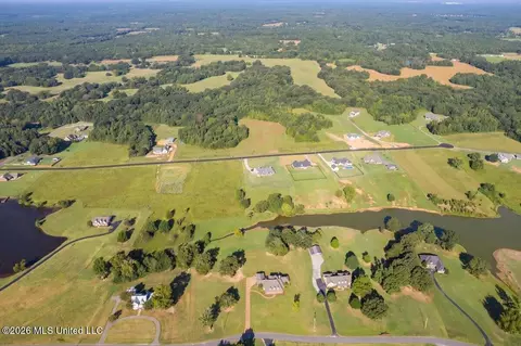 View/Area - 173 Winter Oaks, Lamar, MS 38642 photo 5 of 11