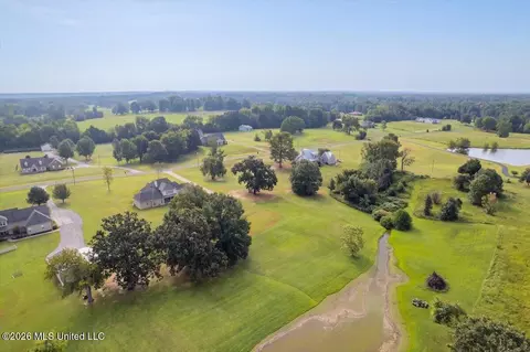 View/Area - 173 Winter Oaks, Lamar, MS 38642 photo 10 of 11