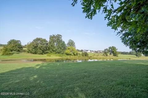 Other - 173 Winter Oaks, Lamar, MS 38642 photo 15 of 17