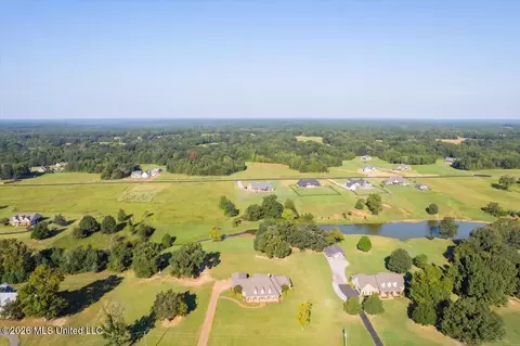View/Area - 173 Winter Oaks, Lamar, MS 38642 photo 4 of 11