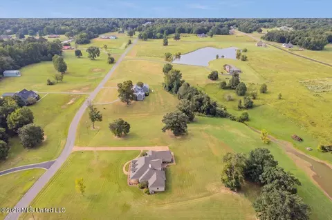 View/Area - 173 Winter Oaks, Lamar, MS 38642 photo 8 of 11