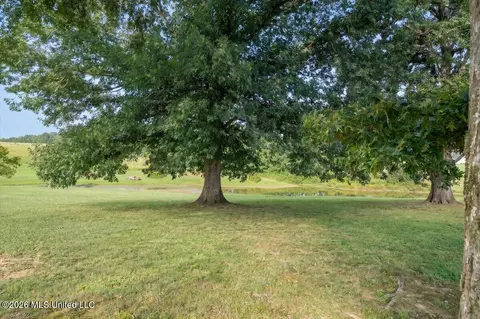 Exterior - 173 Winter Oaks, Lamar, MS 38642 photo 6 of 7