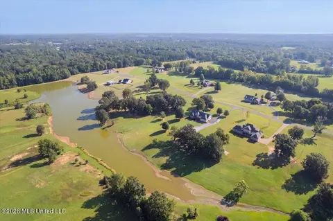 View/Area - 173 Winter Oaks, Lamar, MS 38642 photo 2 of 11