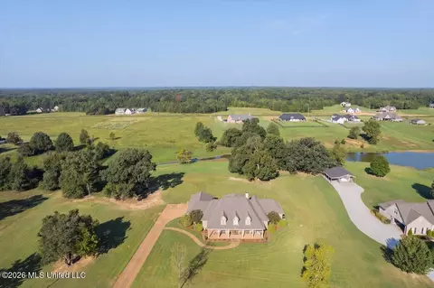 View/Area - 173 Winter Oaks, Lamar, MS 38642 photo 3 of 11