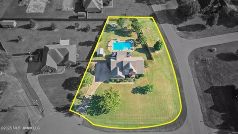 View/Area - 3357 Shadow Moss Cv, Nesbit, MS 38651 photo 5 of 5