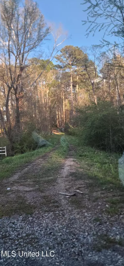 Ms-471, Brandon, MS 39047 photo 3