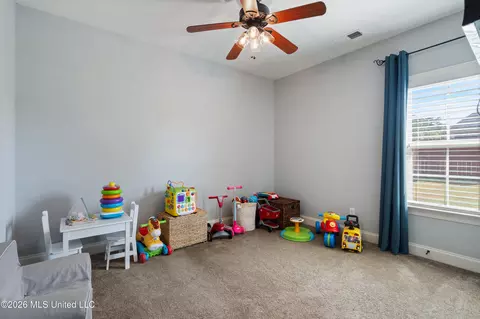 Other - 4558 Bakersfield Dr, Nesbit, MS 38651 photo 7 of 11