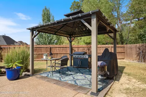 Exterior - 4558 Bakersfield Dr, Nesbit, MS 38651 photo 10 of 13