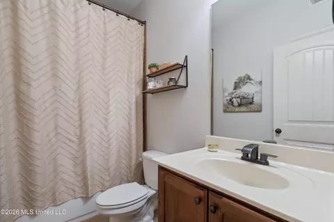 Other - 4558 Bakersfield Dr, Nesbit, MS 38651 photo 6 of 11