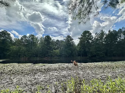 1 Clara Foote Rd, Braxton, MS 39044 photo 10