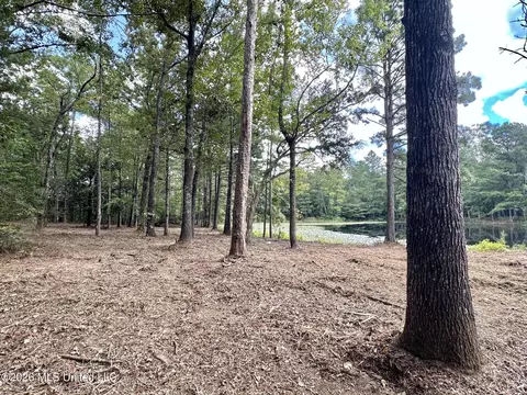 1 Clara Foote Rd, Braxton, MS 39044 photo 7