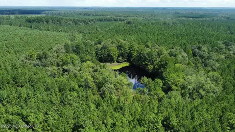 1 Clara Foote Rd, Braxton, MS 39044 photo 31