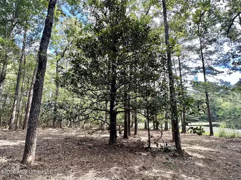 1 Clara Foote Rd, Braxton, MS 39044 photo 9