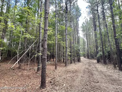 1 Clara Foote Rd, Braxton, MS 39044 photo 5