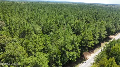 1 Clara Foote Rd, Braxton, MS 39044 photo 18