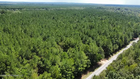 1 Clara Foote Rd, Braxton, MS 39044 photo 19