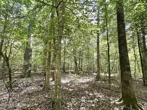 1 Clara Foote Rd, Braxton, MS 39044 photo 16