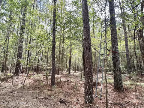 1 Clara Foote Rd, Braxton, MS 39044 photo 14