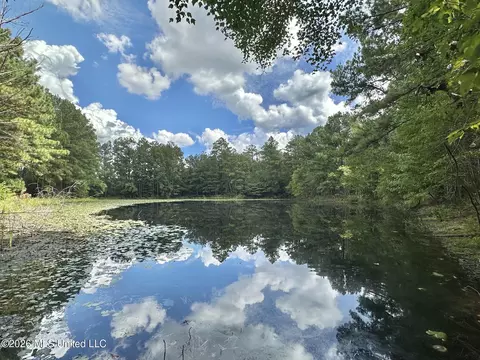 1 Clara Foote Rd, Braxton, MS 39044 photo 12