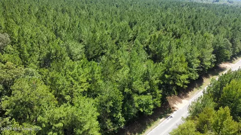 1 Clara Foote Rd, Braxton, MS 39044 photo 17