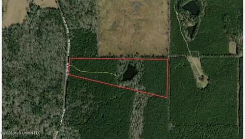 1 Clara Foote Rd, Braxton, MS 39044 photo 32