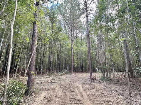 1 Clara Foote Rd, Braxton, MS 39044 photo 2