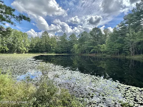 1 Clara Foote Rd, Braxton, MS 39044 photo 8