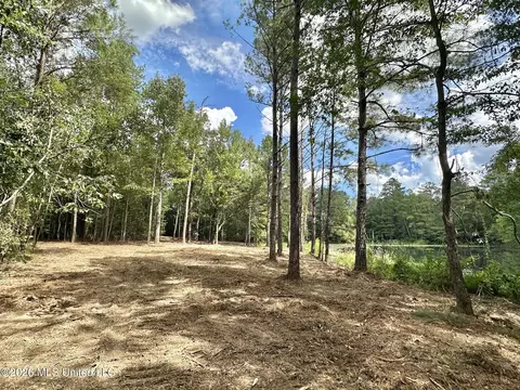 1 Clara Foote Rd, Braxton, MS 39044 photo 13