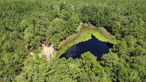 1 Clara Foote Rd, Braxton, MS 39044 photo 23