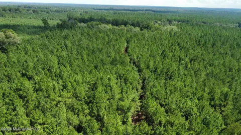 1 Clara Foote Rd, Braxton, MS 39044 photo 20