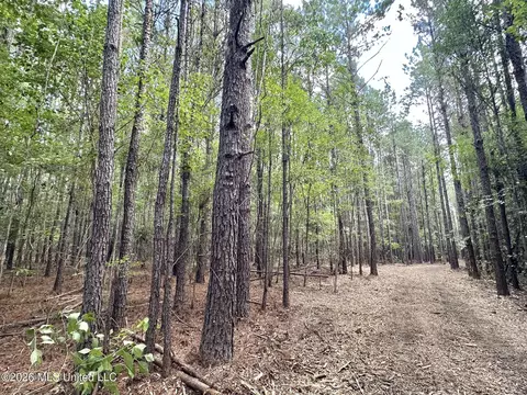 1 Clara Foote Rd, Braxton, MS 39044 photo 4