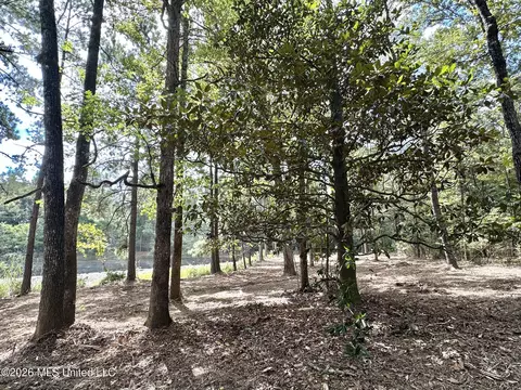 1 Clara Foote Rd, Braxton, MS 39044 photo 11