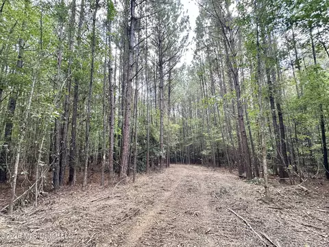 1 Clara Foote Rd, Braxton, MS 39044 photo 3