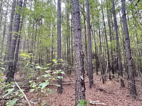 1 Clara Foote Rd, Braxton, MS 39044 photo 6