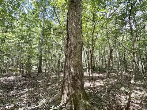 2 Clara Foote Rd, Braxton, MS 39044 photo 9