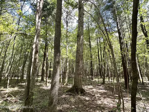 2 Clara Foote Rd, Braxton, MS 39044 photo 10