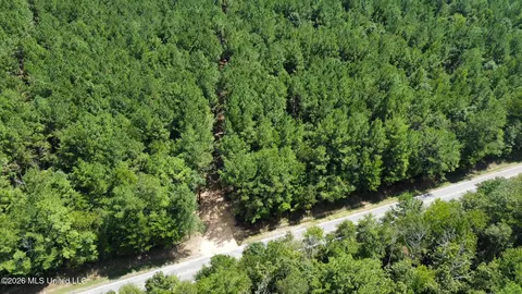 2 Clara Foote Rd, Braxton, MS 39044 photo 20