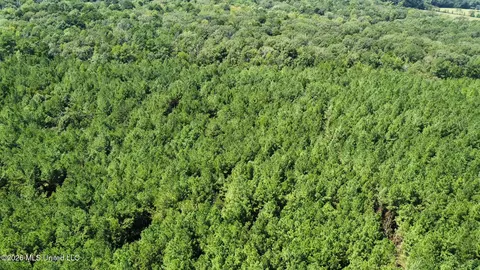 2 Clara Foote Rd, Braxton, MS 39044 photo 14